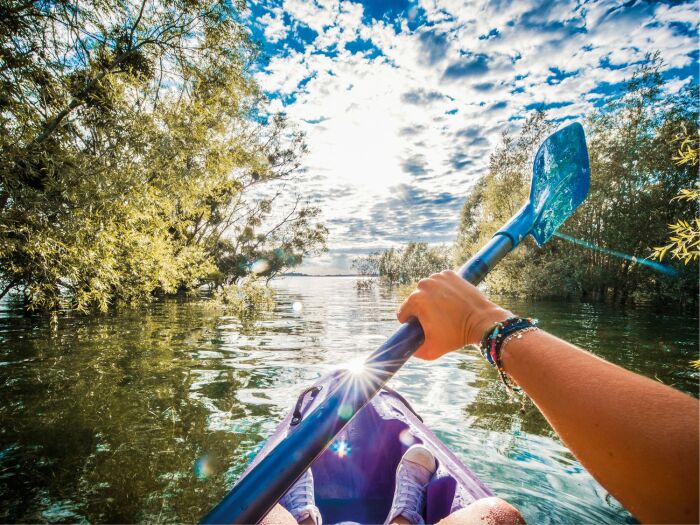 kayak forêt immergée BD crédit Le Bonheur des gens.jpg