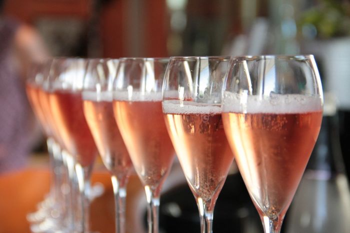 SEMINAIRE CDT 2015 - Champagne De Barfontarc- Crédit CDT AUBE (10).JPG